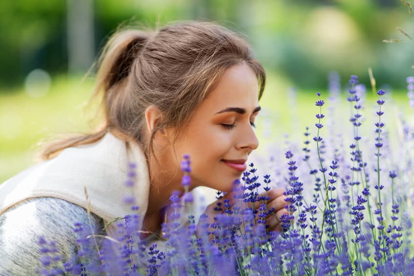 young woman smelling lavender flowers in garden